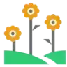 Landscape Garden