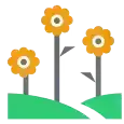 Landscape Garden